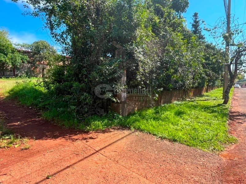 Foto 1 de 23: Terreno em leilão em São Pedro Do Butiá - RS — LOTE 003-2 Área de 14.421,38m², na Av. Dr. Eugênio Frantz, São Pedro do Butiá/RS - PARCELADO 25% DE