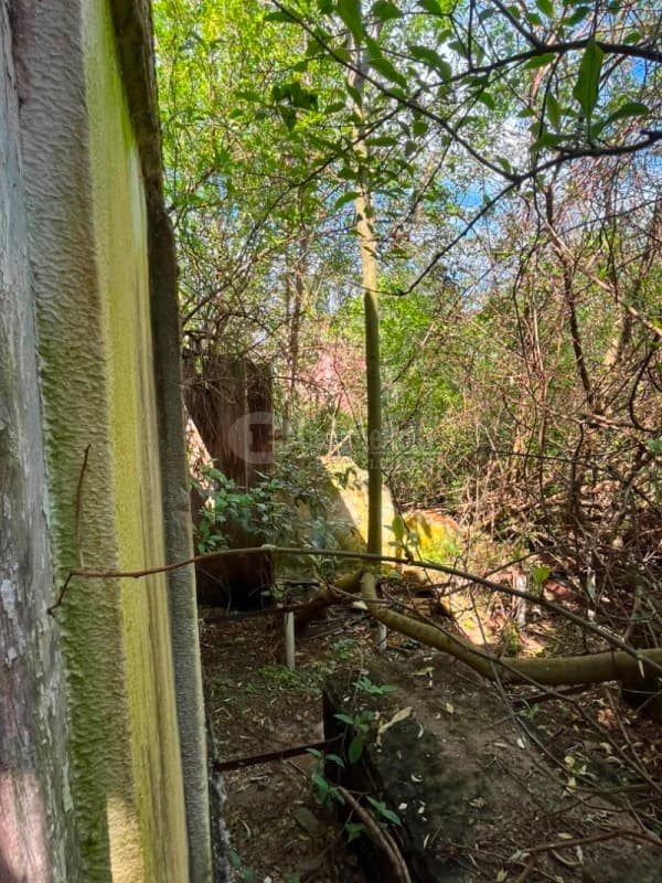 Foto 6 de 23: Terreno em leilão em São Pedro Do Butiá - RS — LOTE 003-2 Área de 14.421,38m², na Av. Dr. Eugênio Frantz, São Pedro do Butiá/RS - PARCELADO 25% DE