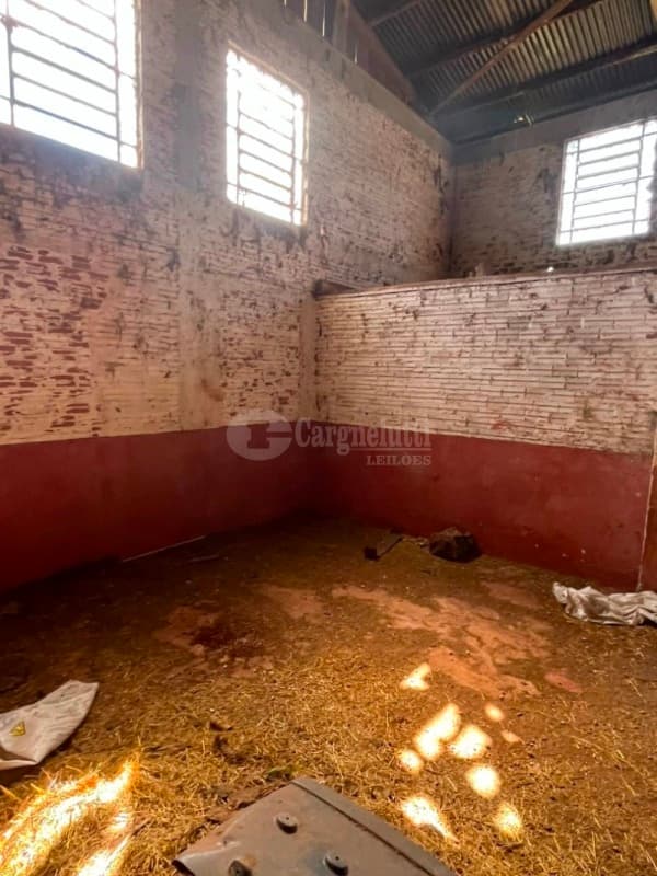 Foto 7 de 23: Terreno em leilão em São Pedro Do Butiá - RS — LOTE 003-2 Área de 14.421,38m², na Av. Dr. Eugênio Frantz, São Pedro do Butiá/RS - PARCELADO 25% DE