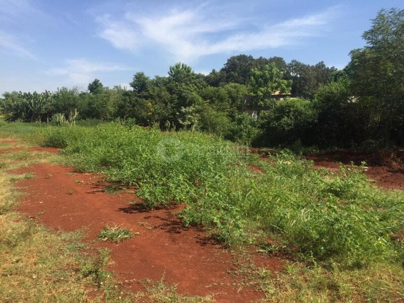 Foto 11 de 23: Terreno em leilão em São Pedro Do Butiá - RS — LOTE 003-2 Área de 14.421,38m², na Av. Dr. Eugênio Frantz, São Pedro do Butiá/RS - PARCELADO 25% DE