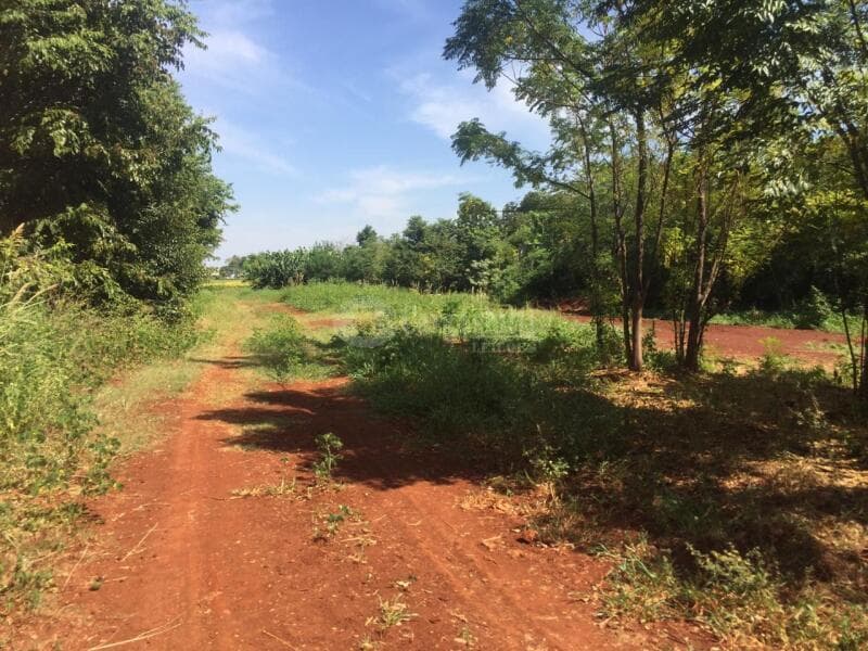 Foto 12 de 23: Terreno em leilão em São Pedro Do Butiá - RS — LOTE 003-2 Área de 14.421,38m², na Av. Dr. Eugênio Frantz, São Pedro do Butiá/RS - PARCELADO 25% DE