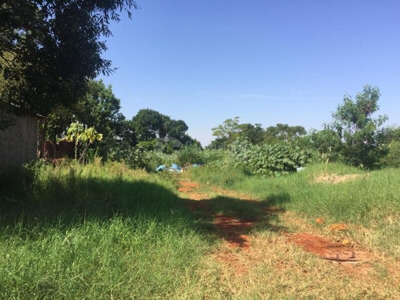 Foto 15 de 23: Terreno em leilão em São Pedro Do Butiá - RS — LOTE 003-2 Área de 14.421,38m², na Av. Dr. Eugênio Frantz, São Pedro do Butiá/RS - PARCELADO 25% DE