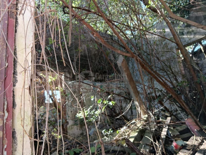 Foto 4 de 34: Comercial em leilão em Cruz Alta - RS — LOTE 001 Três prédios de alvenaria, situados à rua Padre Pacheco, nº 443, 447 e 467 - CRUZ ALTA/RS