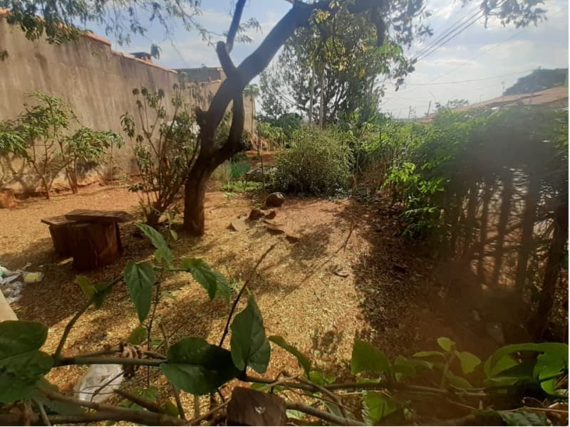 Foto 2 de 2: Terreno em leilão em Uberlândia - MG — LOTE 004 Terreno urbano