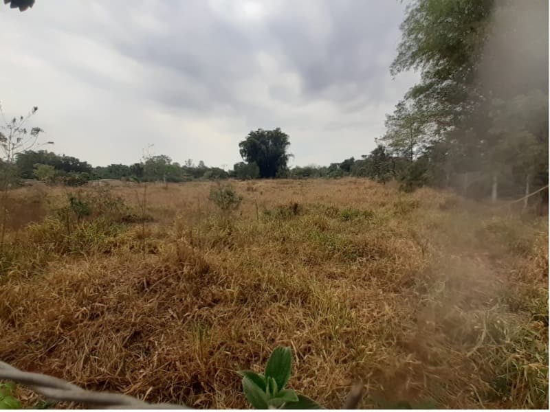 Foto 2 de 2: Terreno em leilão em Uberlândia - MG — LOTE 007 Terreno
