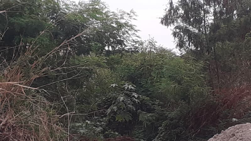 Foto 2 de 2: Terreno em leilão em Uberlândia - MG — LOTE 024 Terreno urbano
