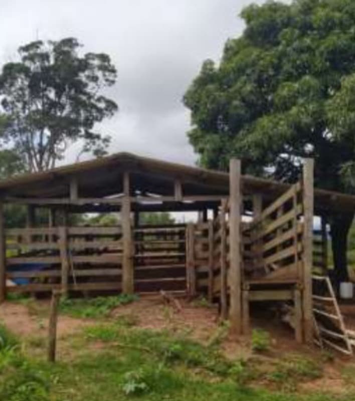 Foto 4 de 8: Area Rural em leilão em Cássia Dos Coqueiros - SP, bairro Centro — GLEBA DE TERRAS, com área de 46 ha - FAZENDA REUNIDAS MONJOLINHO
