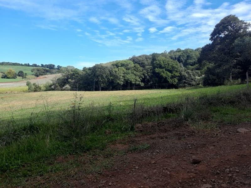 Foto 3 de 24: Imóvel em leilão em São José Do Ouro - RS — LOTE 001 Imóvel