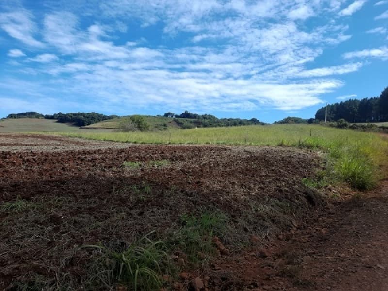 Foto 4 de 24: Imóvel em leilão em São José Do Ouro - RS — LOTE 001 Imóvel