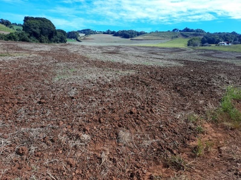 Foto 12 de 24: Imóvel em leilão em São José Do Ouro - RS — LOTE 001 Imóvel