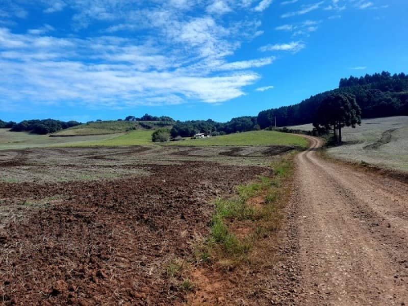 Foto 15 de 24: Imóvel em leilão em São José Do Ouro - RS — LOTE 001 Imóvel