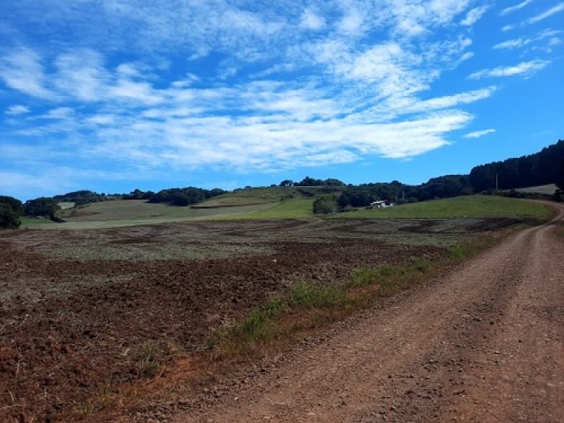 Foto 21 de 24: Imóvel em leilão em São José Do Ouro - RS — LOTE 001 Imóvel