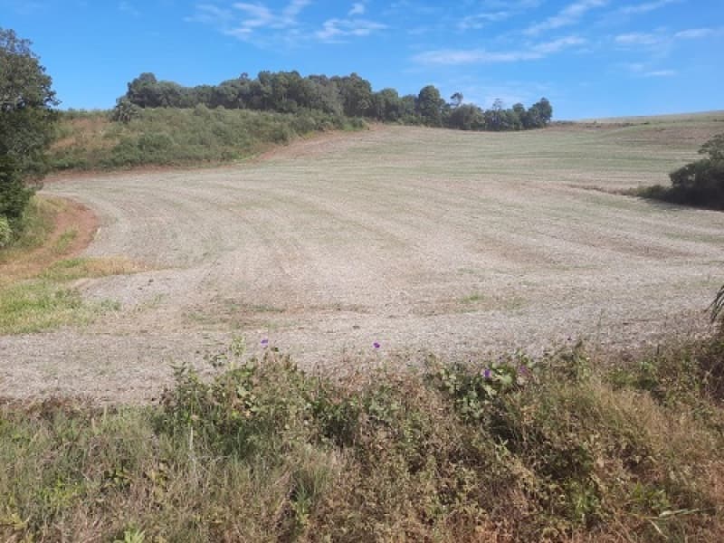 Foto 24 de 24: Imóvel em leilão em São José Do Ouro - RS — LOTE 001 Imóvel