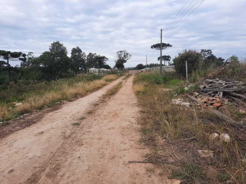 Foto 6 de 10: Area Rural em leilão em Fontoura Xavier - RS — LOTE 001 Imóvel