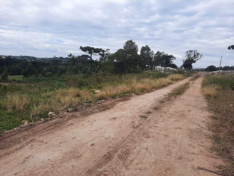 Foto 7 de 10: Area Rural em leilão em Fontoura Xavier - RS — LOTE 001 Imóvel
