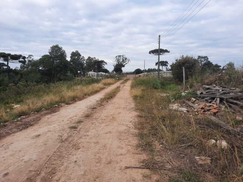 Foto 8 de 10: Area Rural em leilão em Fontoura Xavier - RS — LOTE 001 Imóvel