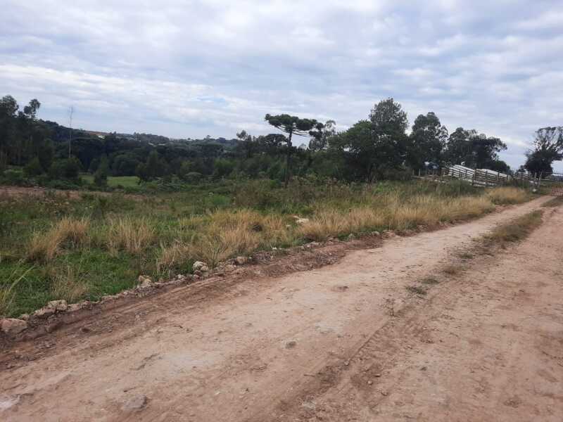 Foto 10 de 10: Area Rural em leilão em Fontoura Xavier - RS — LOTE 001 Imóvel