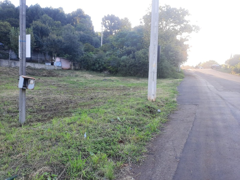 Foto 15 de 19: Casa em leilão em Erechim - RS — LOTE 001 imóvel