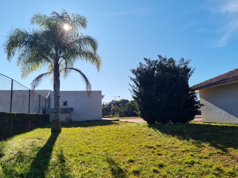 Foto 11 de 11: Terreno em leilão em Getúlio Vargas - RS — LOTE 004 Imóvel