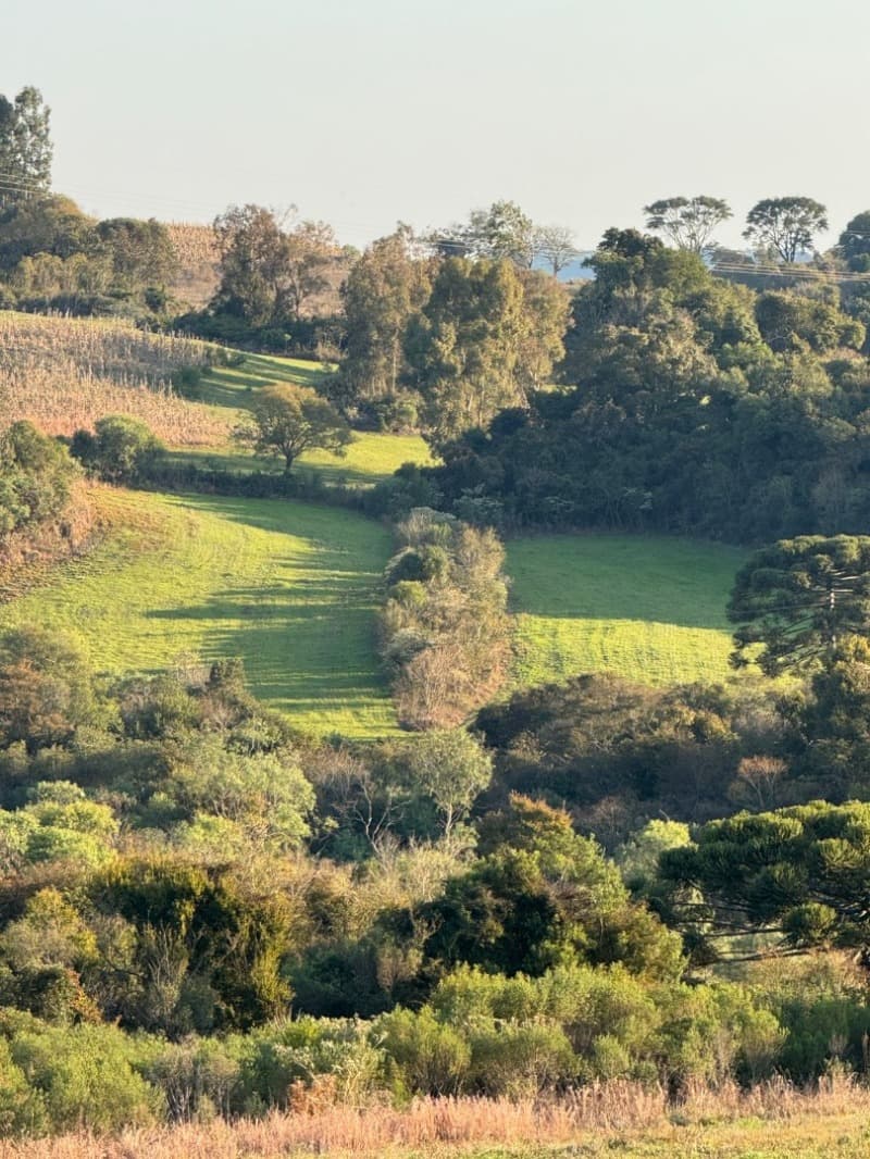 Foto 11 de 32: Imóvel em leilão em Lagoão - RS — LOTE 001 Imóvel
