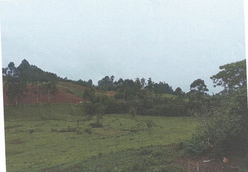 Foto 4 de 7: Terreno em leilão em Petrolândia - SC — LOTE 001 Imóvel