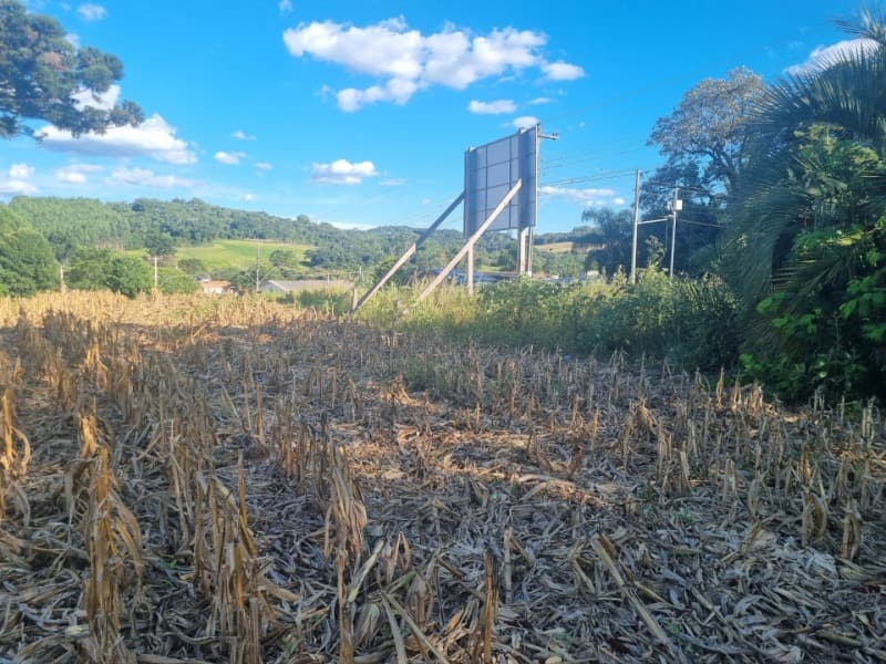 Foto 5 de 8: Imóvel em leilão em São Domingos Do Sul - RS — LOTE 001 Imóvel