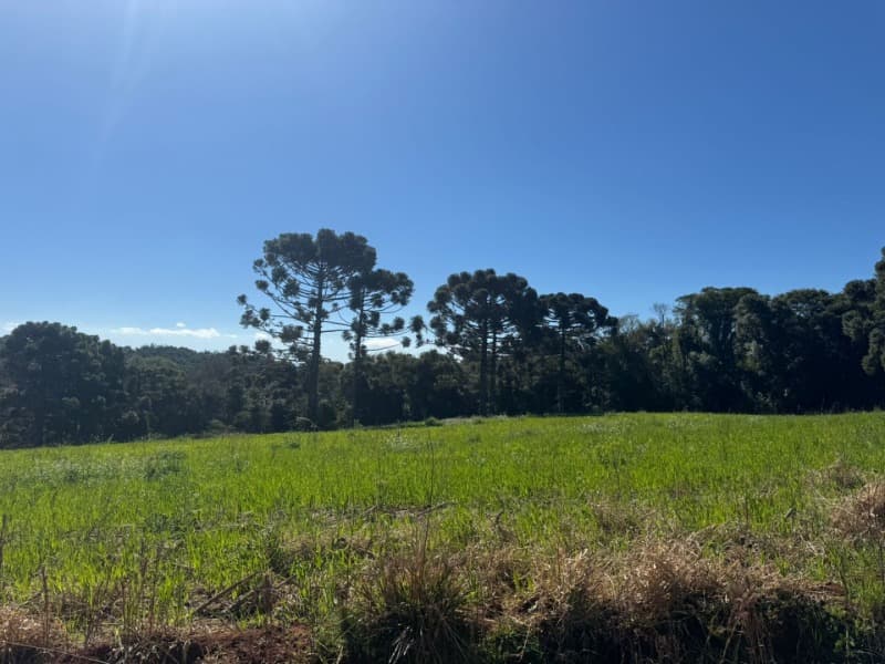 Foto 3 de 11: Imóvel em leilão em Marau - RS — LOTE 003 Imóvel