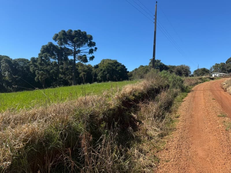 Foto 11 de 11: Imóvel em leilão em Marau - RS — LOTE 003 Imóvel