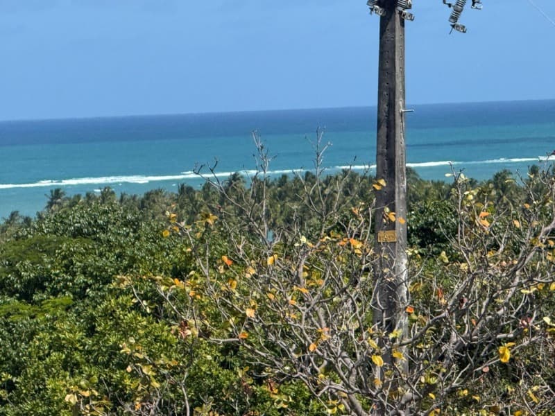 Foto 2 de 14: Area Rural em leilão em Passo De Camaragibe - AL — LOTE 001 Imóvel