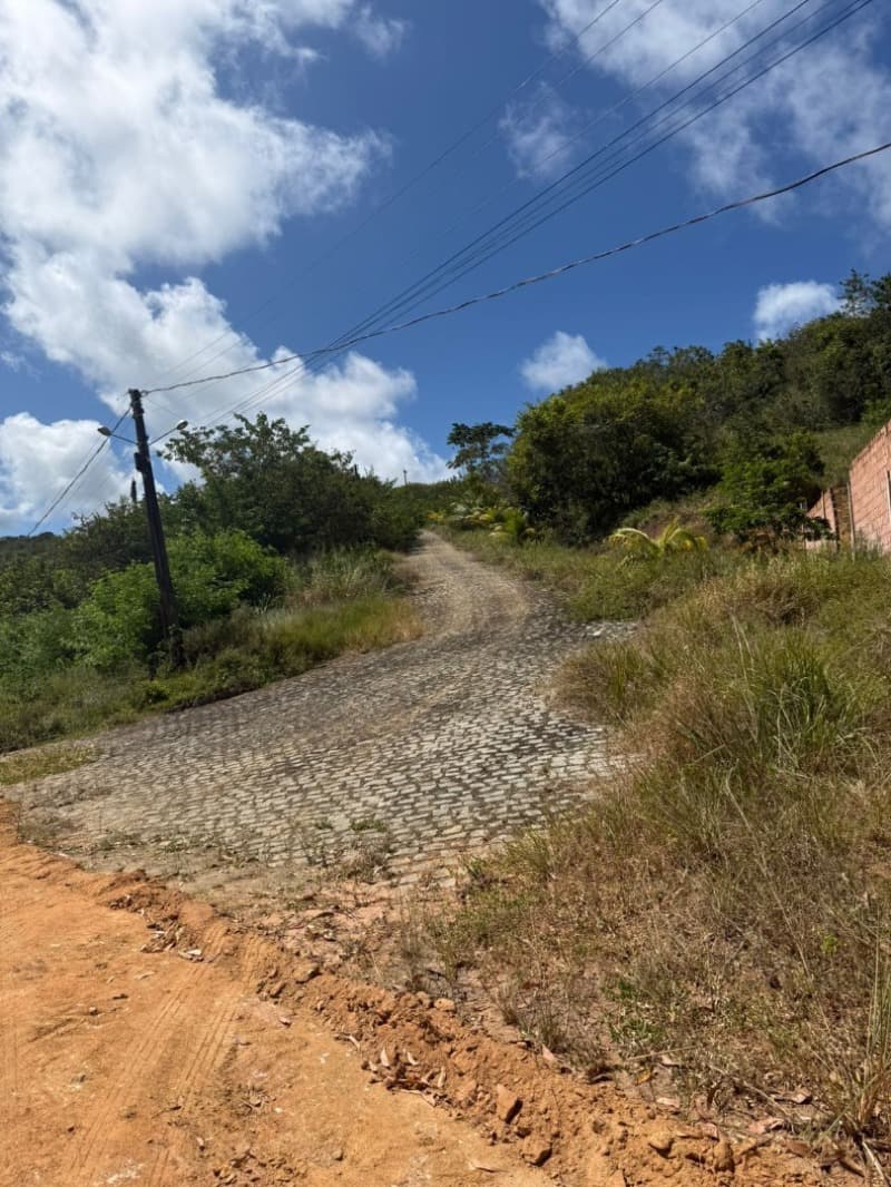 Foto 3 de 14: Area Rural em leilão em Passo De Camaragibe - AL — LOTE 001 Imóvel