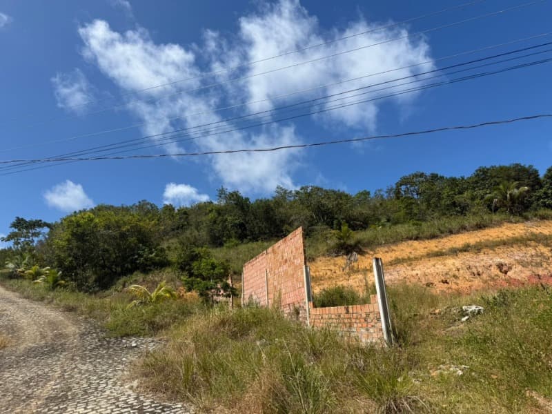 Foto 1 de 14: Area Rural em leilão em Passo De Camaragibe - AL — LOTE 001 Imóvel