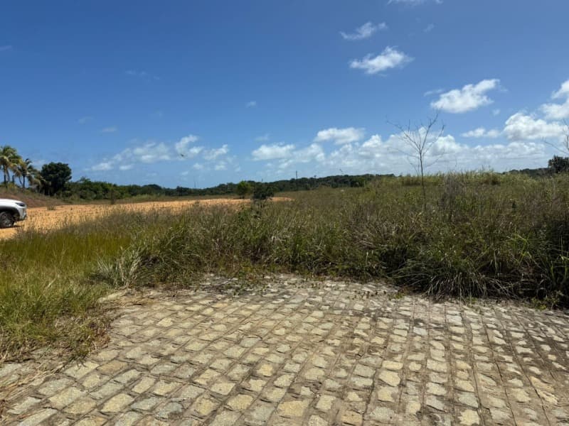 Foto 5 de 14: Area Rural em leilão em Passo De Camaragibe - AL — LOTE 001 Imóvel
