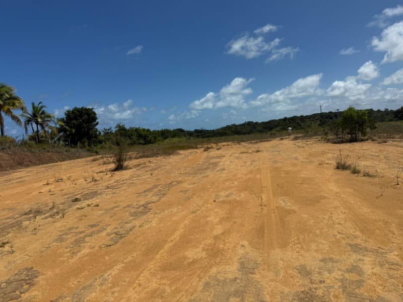 Foto 11 de 14: Area Rural em leilão em Passo De Camaragibe - AL — LOTE 001 Imóvel