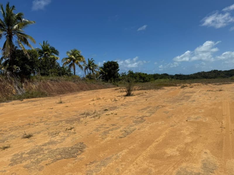 Foto 12 de 14: Area Rural em leilão em Passo De Camaragibe - AL — LOTE 001 Imóvel