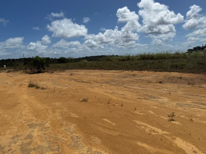 Foto 13 de 14: Area Rural em leilão em Passo De Camaragibe - AL — LOTE 001 Imóvel