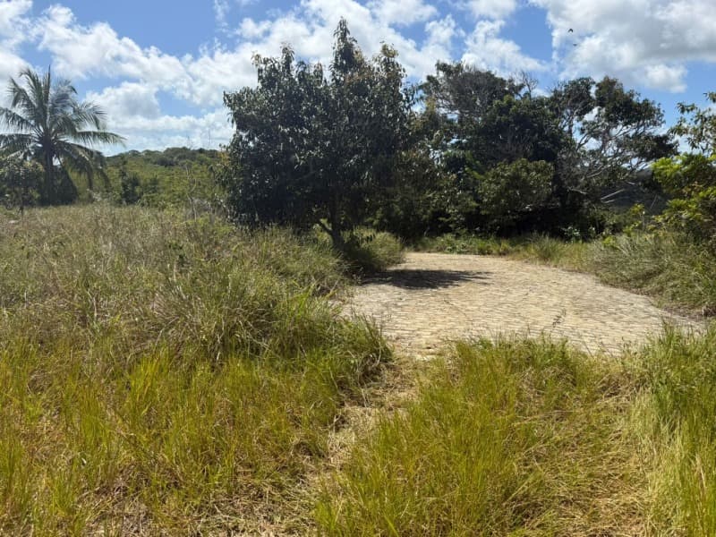 Foto 14 de 14: Area Rural em leilão em Passo De Camaragibe - AL — LOTE 001 Imóvel