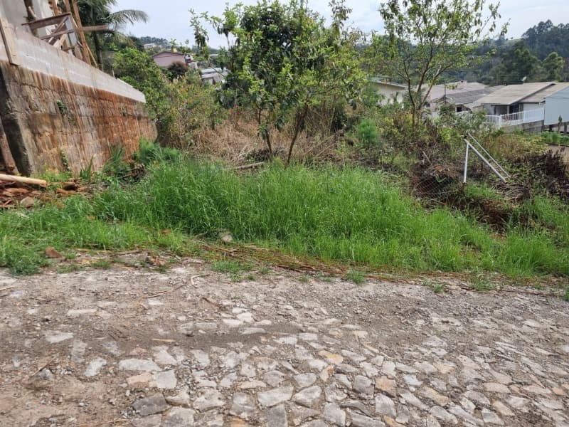 Foto 5 de 12: Terreno em leilão em Aratiba - RS — LOTE 001-2 Imóvel