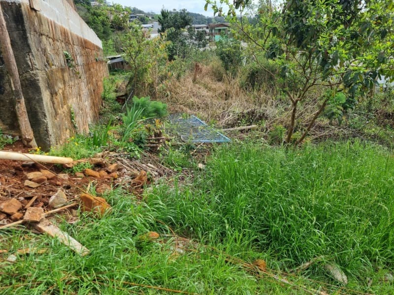 Foto 10 de 12: Terreno em leilão em Aratiba - RS — LOTE 001-2 Imóvel