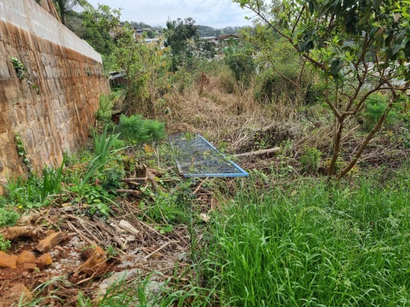 Foto 12 de 12: Terreno em leilão em Aratiba - RS — LOTE 001-2 Imóvel