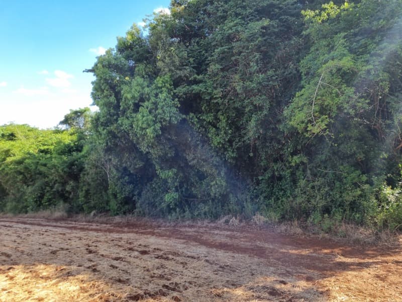 Foto 19 de 33: Casa em leilão em Sertão - RS — LOTE 001 Imóvel