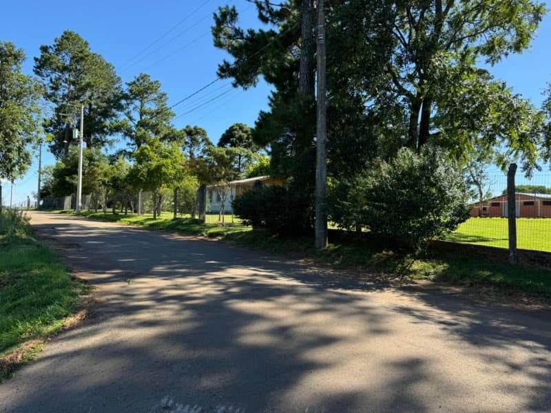 Foto 15 de 55: Casa em leilão em Passo Fundo - RS — LOTE 001 Imóvel
