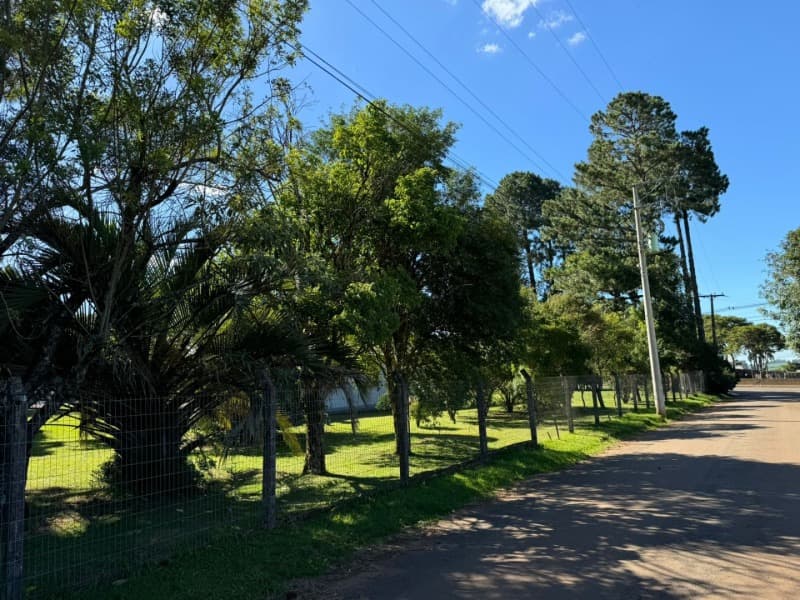 Foto 26 de 55: Casa em leilão em Passo Fundo - RS — LOTE 001 Imóvel