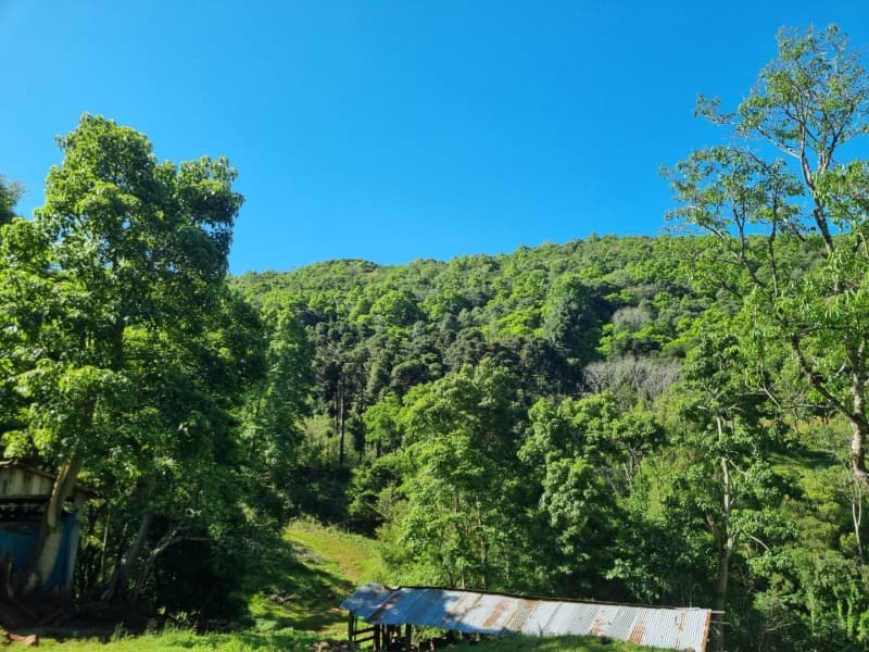 Foto 1 de 6: Area Rural em leilão em Floriano Peixoto - RS — LOTE 002 Imóvel