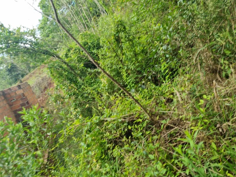 Foto 1 de 10: Area Rural em leilão em Erechim - RS — LOTE 003 Imóvel