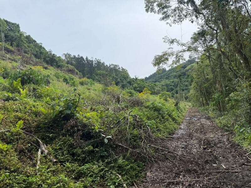Foto 2 de 10: Area Rural em leilão em Pouso Novo - RS — LOTE 003 Imóvel