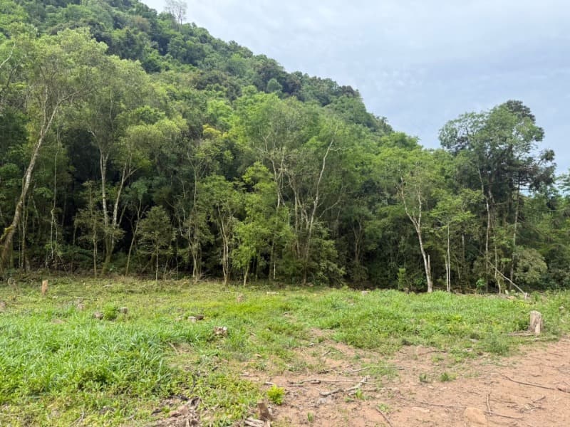 Foto 5 de 10: Area Rural em leilão em Pouso Novo - RS — LOTE 003 Imóvel