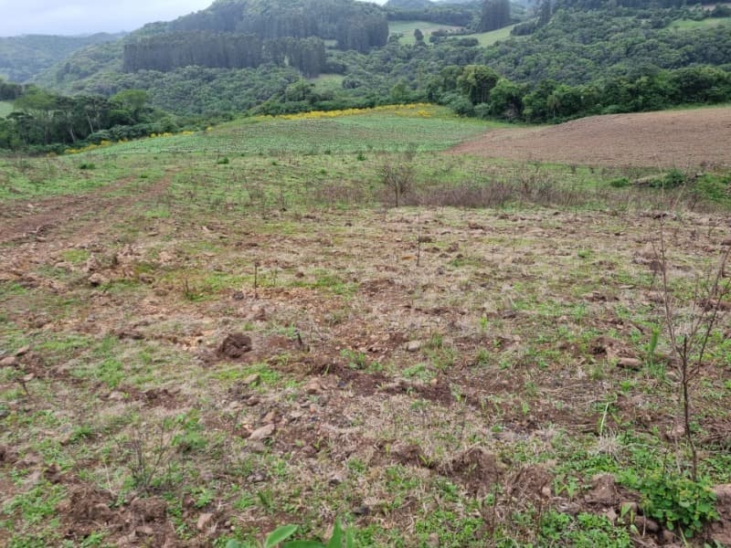 Foto 10 de 22: Area Rural em leilão em Barros Cassal - RS — LOTE 012 Imóvel