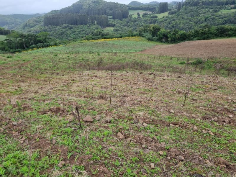 Foto 2 de 22: Area Rural em leilão em Barros Cassal - RS — LOTE 012 Imóvel