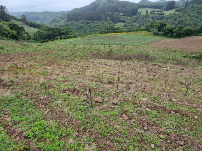 Foto 3 de 22: Area Rural em leilão em Barros Cassal - RS — LOTE 012 Imóvel