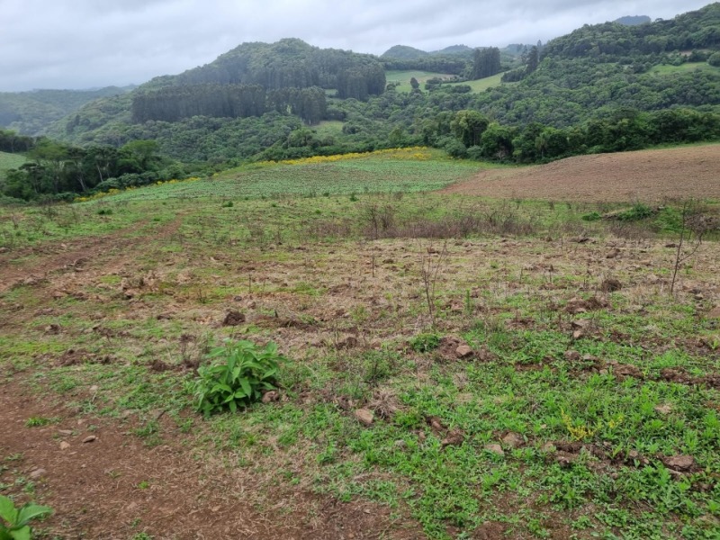Foto 4 de 22: Area Rural em leilão em Barros Cassal - RS — LOTE 012 Imóvel
